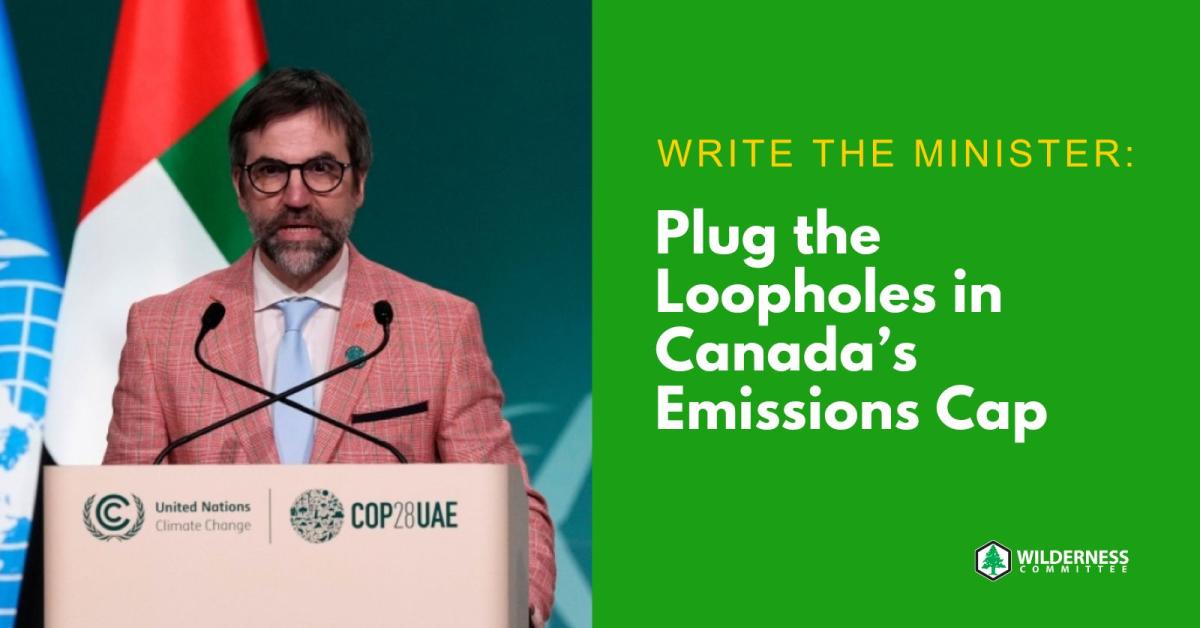 Plug the loopholes in Canada’s emissions cap Wilderness Committee